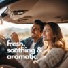Pack Of 3 - Car Perfume - Image 4